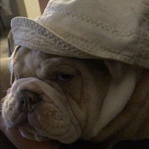 Meet your Posher, Felipe